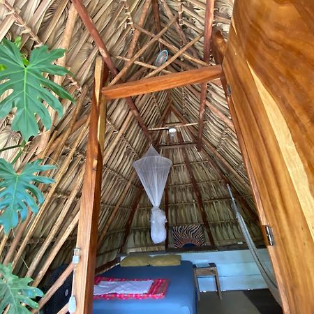 Calypso Cabanas El Paredon Buena Vista ภายนอก รูปภาพ