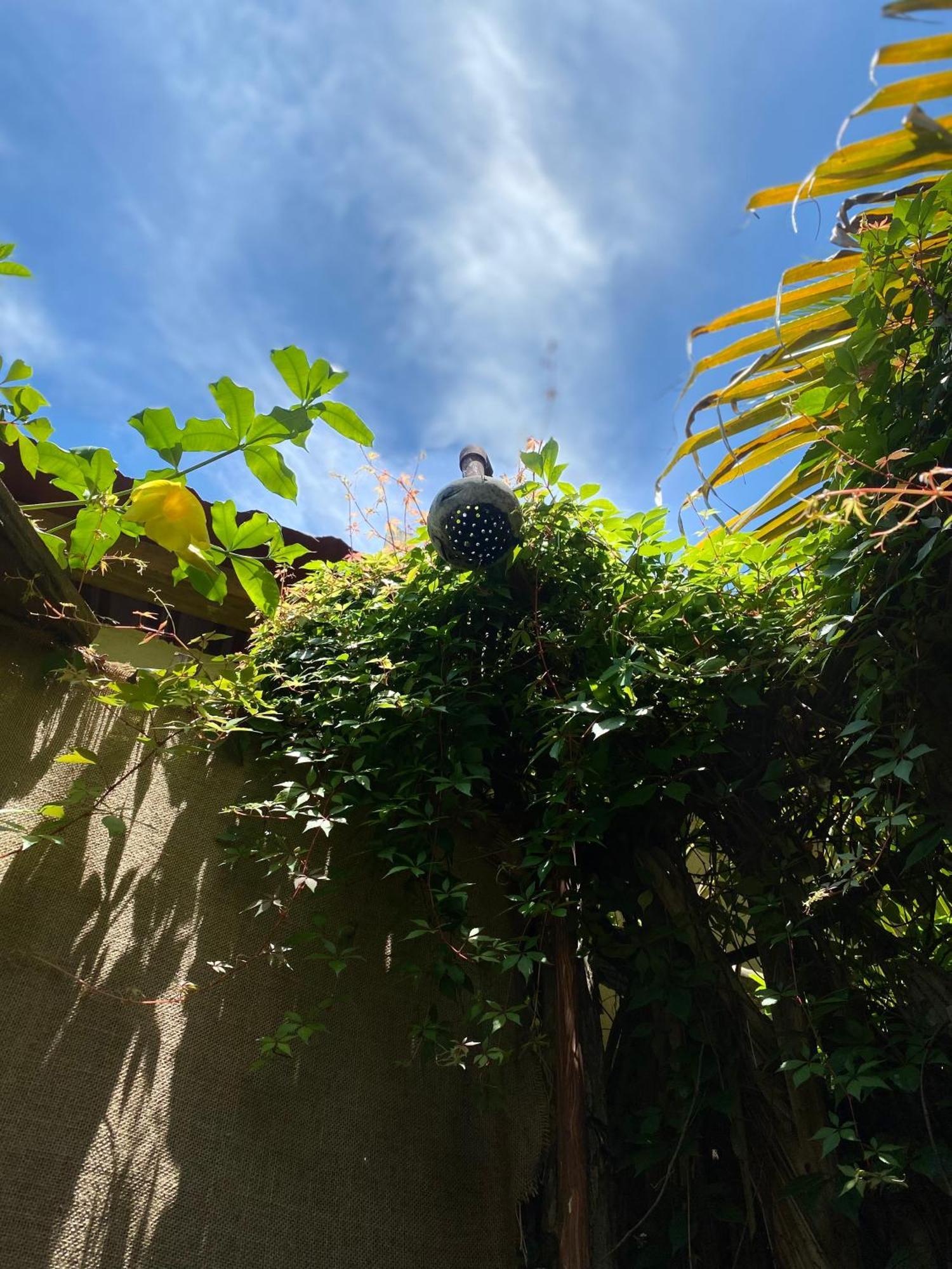 Calypso Cabanas El Paredon Buena Vista ภายนอก รูปภาพ