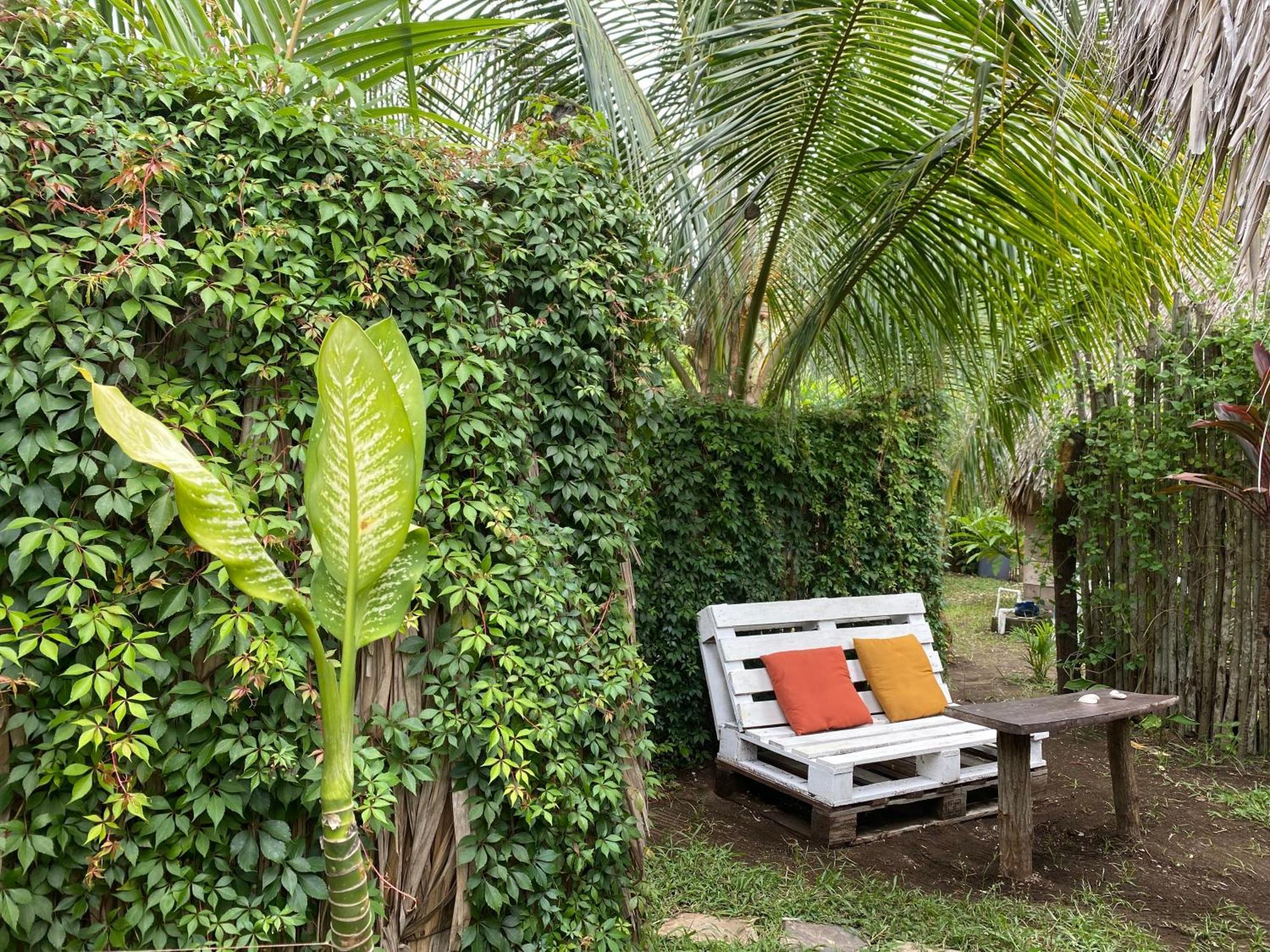 Calypso Cabanas El Paredon Buena Vista ภายนอก รูปภาพ